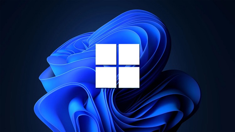 ویندوز 11