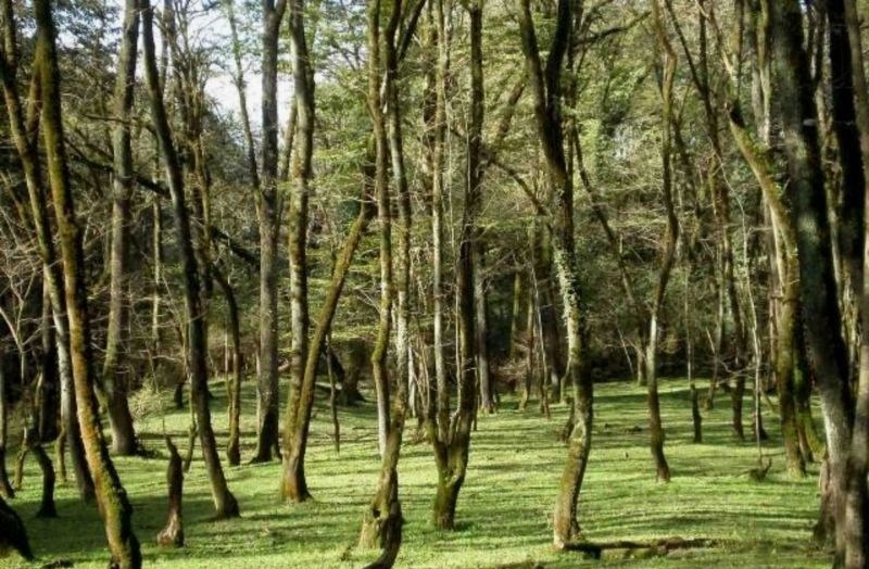 بهترین مکان های اراک برای چادر زدن
