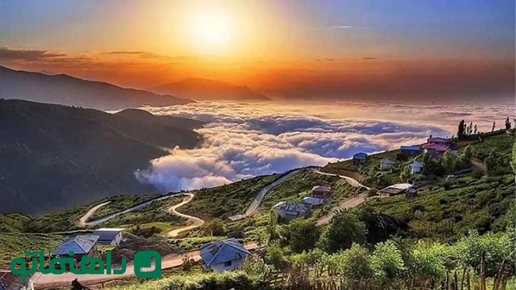 جنگل ابرهای