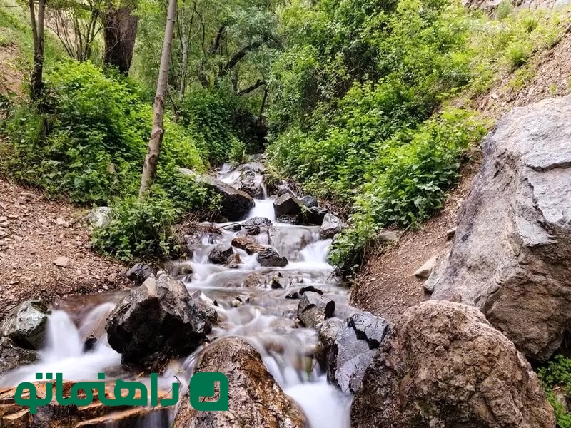 کوهنوردی