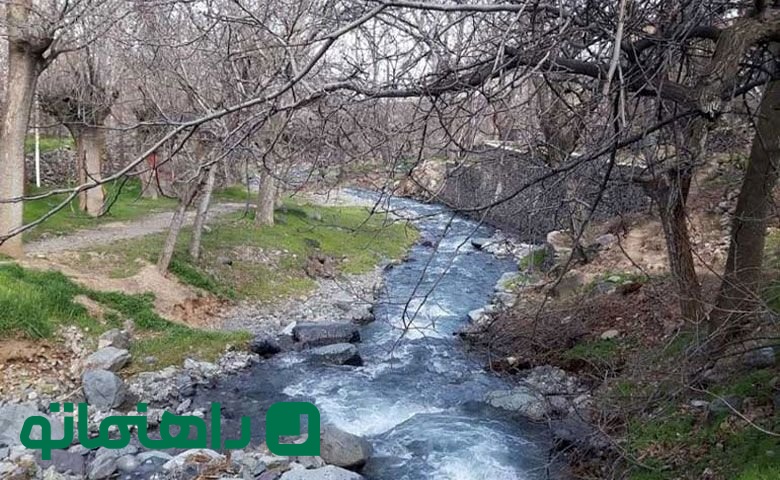 طامه