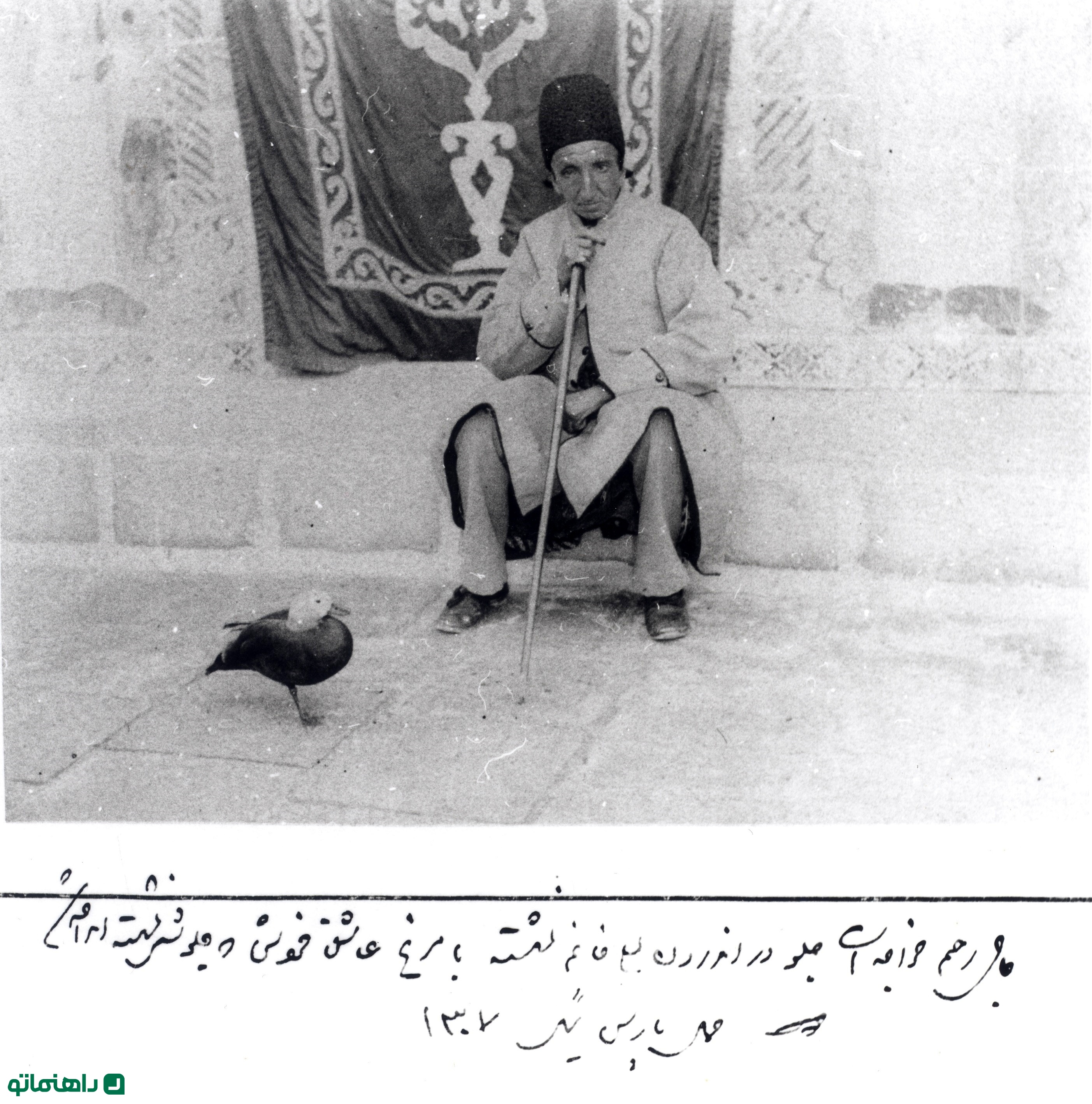 مرغ عاشق قاجار
