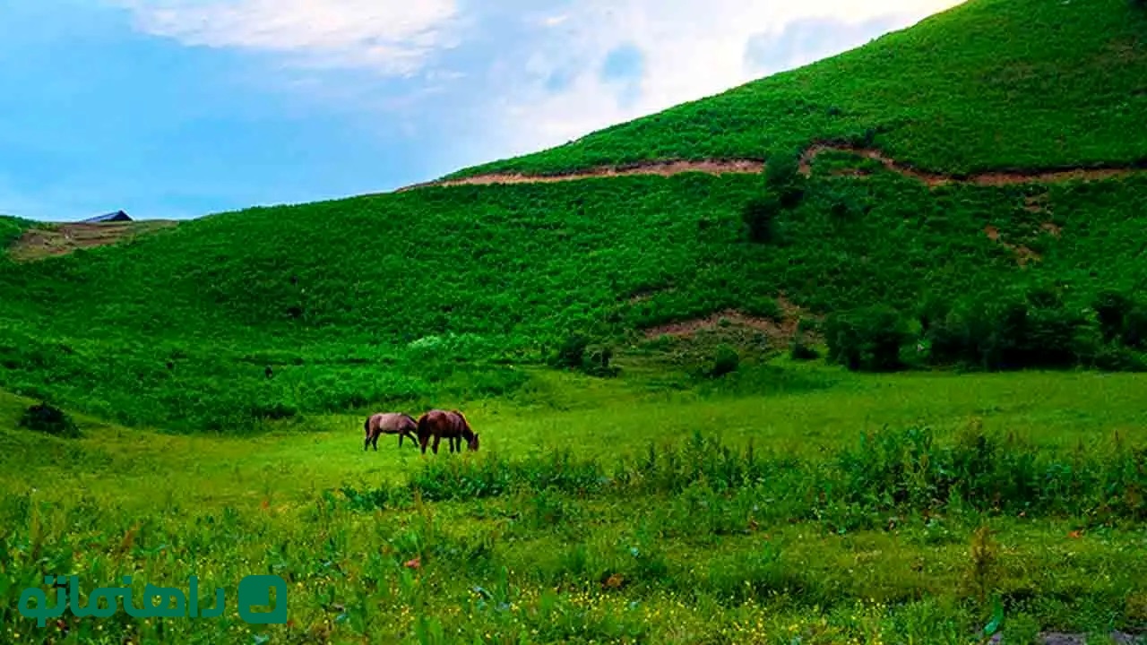 سفر به روستای افجه؛ سرزمین باغ ها و میوه های بهشتی
