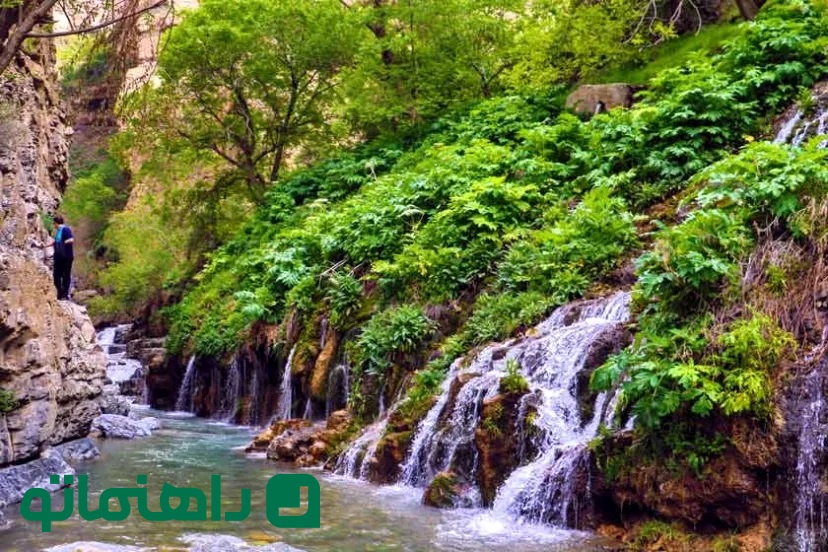 میگون