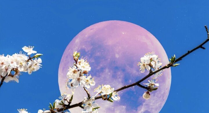 «ماه توت‌فرنگی» چیست؟ / حقایقی درباره ماه کامل ۲۰ و ۲۱ خرداد