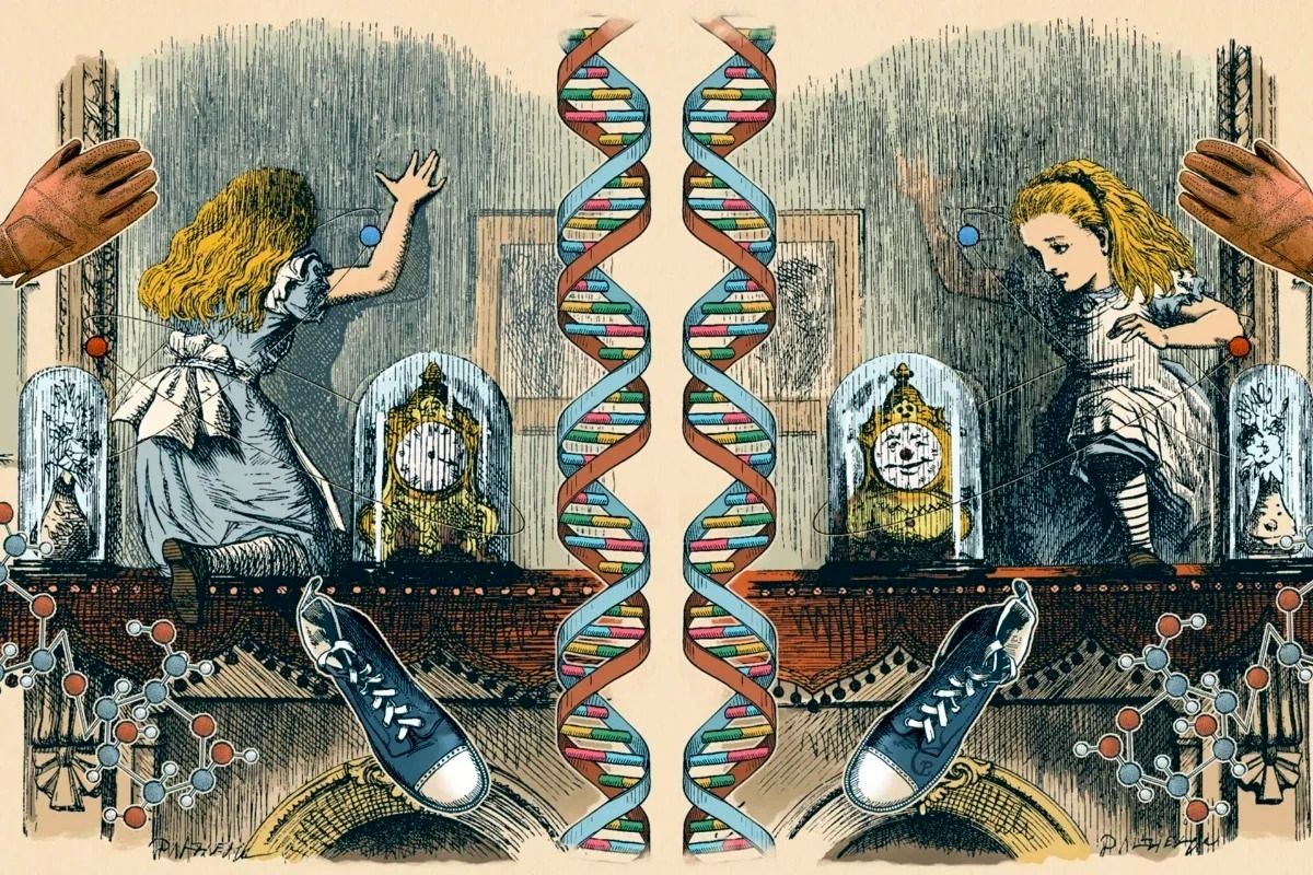 
آن‌سوی آینه؛ جهان با تصویر آینه‌ای خود چه تفاوتی دارد؟
