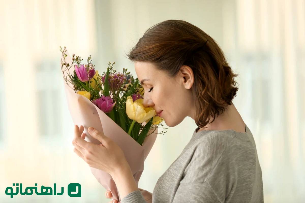 12 گل خوشبو که خانهتان را به یک پناهگاه آرامشبخش تبدیل میکنند