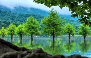 3 بهشت پنهان و خنک نزدیک تهران؛ 3 مقصد جدید سفر در فصل گرما