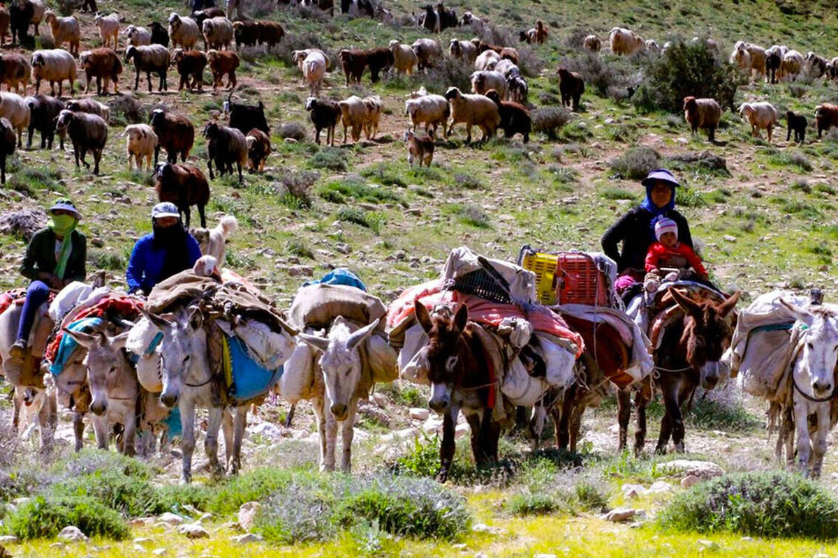 کوچ بهاره عشایر به پایان رسید