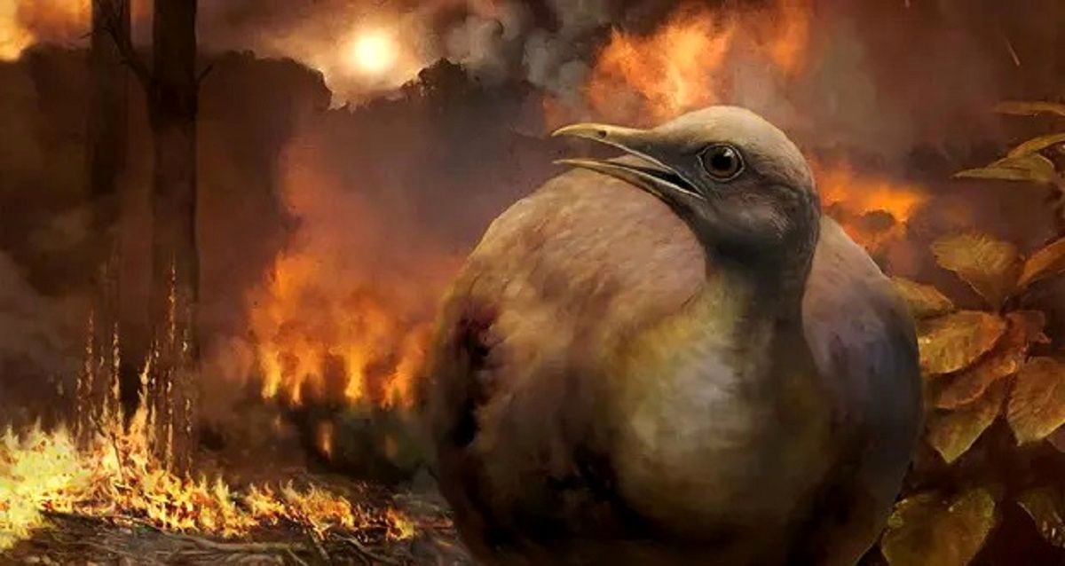  چرا پرنده‌ها زنده ماندند اما دایناسورها منقرض شدند؟ + تصاویر