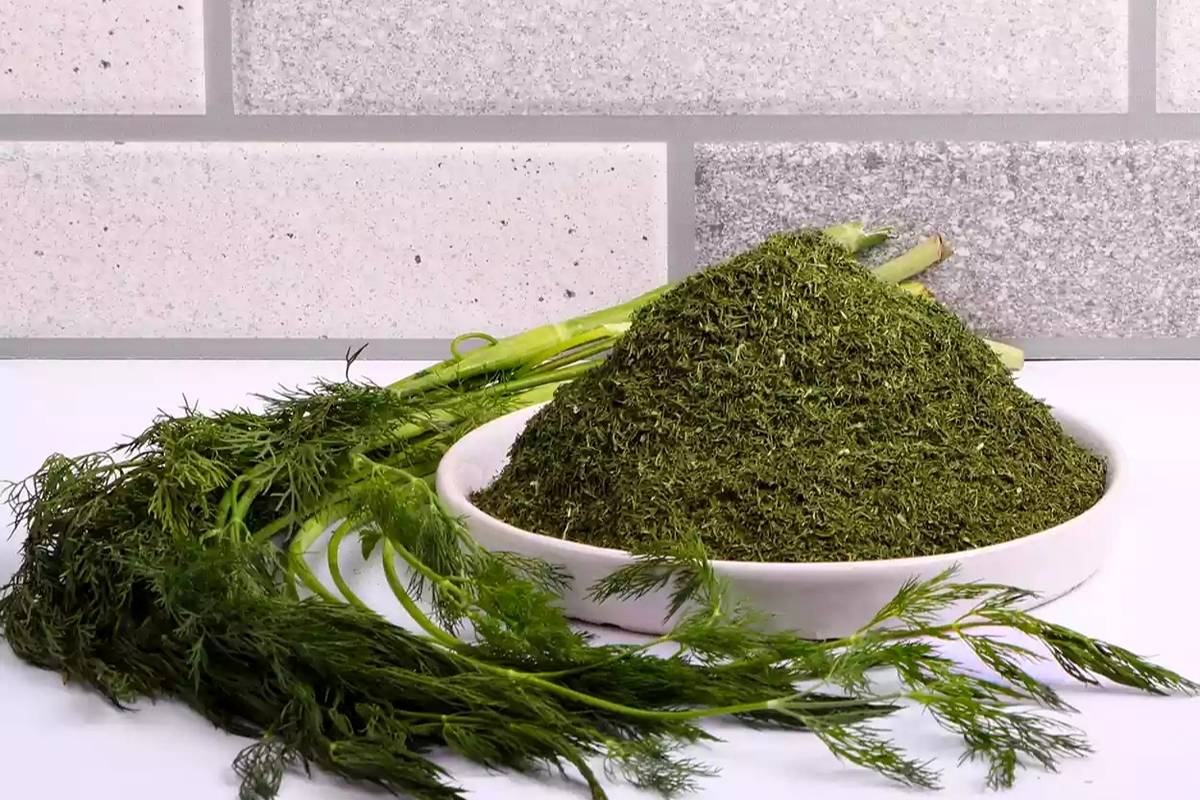 نحوه خشک کردن شوید در منزل 