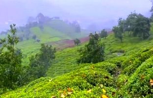 هواشناسی رشت؛ گیلان تا 15 درجه سرد می شود