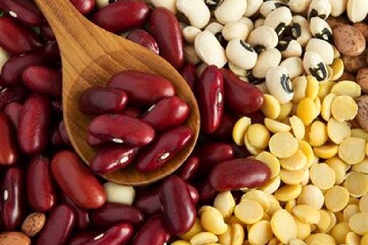 بهترین روش برای جلوگیری از حشره‌زدگی حبوبات و خشکبار