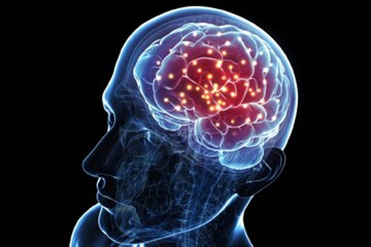 کاهش وزن چگونه بر مغز تاثیر میگذارد؟