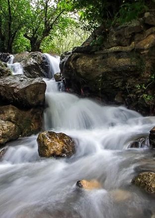 سفر به روستای زشک مشهد؛ رقص چشمه‌ها و باغ‌ها در آغوش بینالود 