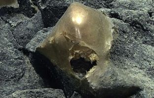 یک گوی طلا کف اقیانوش پیدا شد + عکس