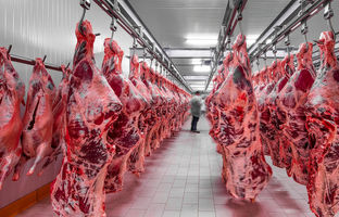 راهنمای بازار؛ قیمت گوشت قرمز، امروز ۲۹ اردیبهشت ۱۴۰۴
