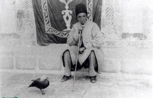 ماجرای عجیب یک اردک عاشق در دربار ناصرالدین شاه + تصاویر