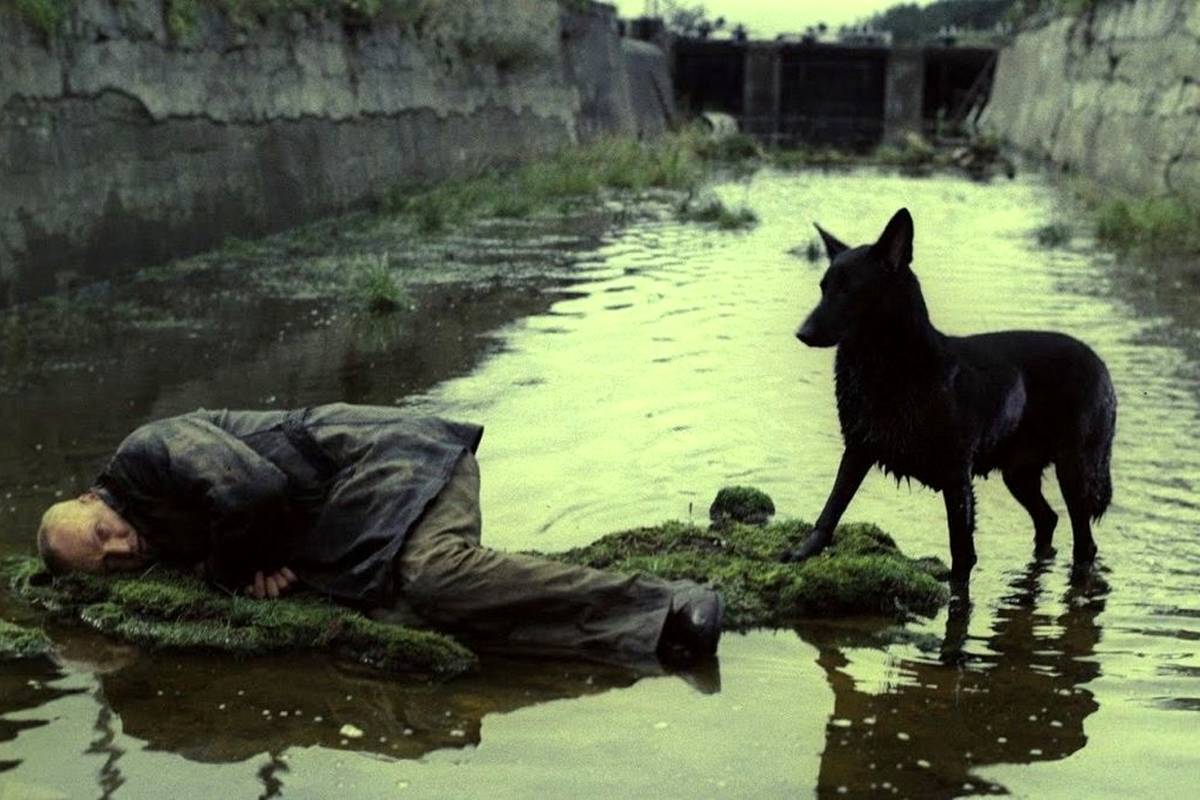 10 فیلم برتر فلسفی تاریخ سینما