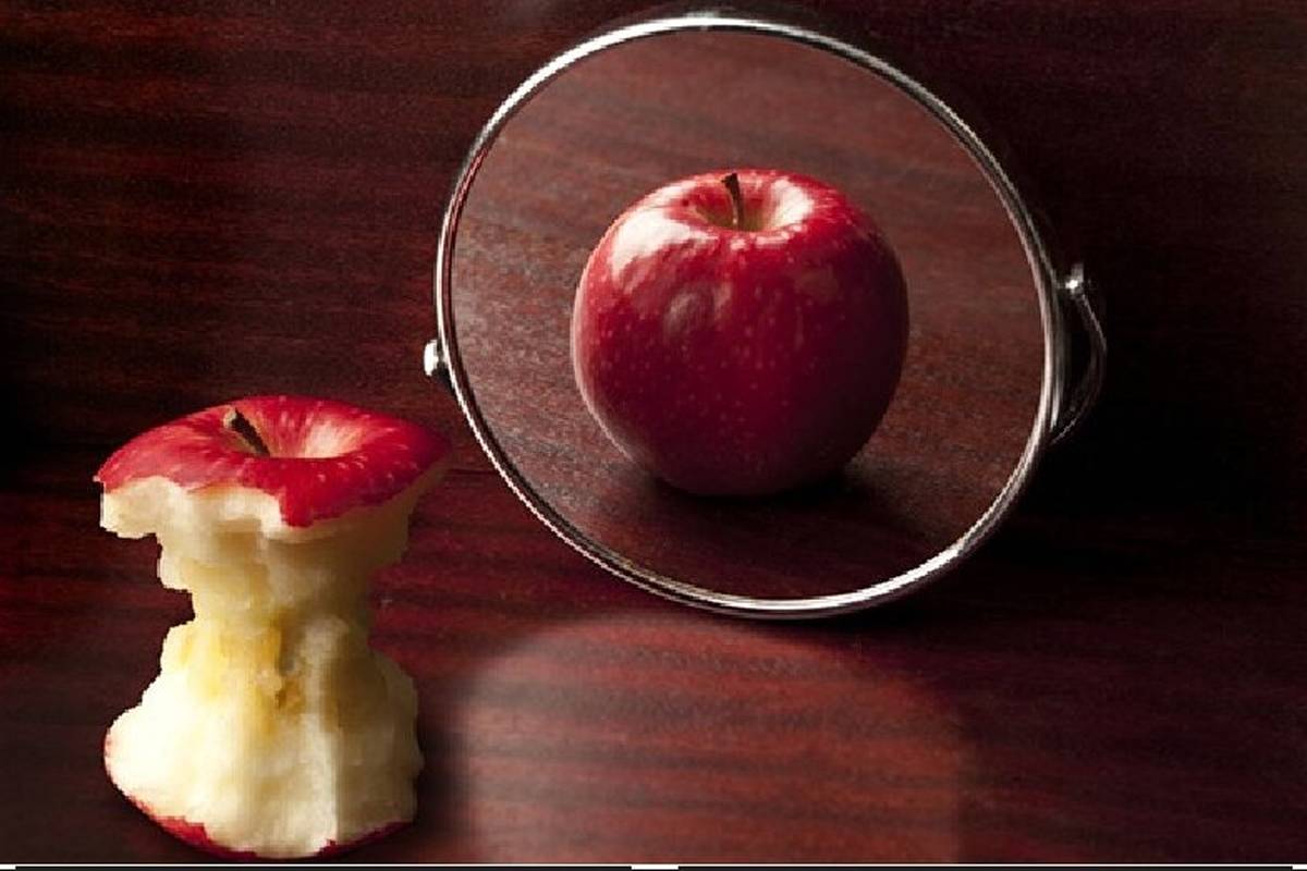 جستجوی حقیقت؛ از افلاطون تا گادامر، سفری دراز و بیپایان