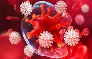 هدف گرفتن پروتئین‌هایی که سلول‌های سرطانی پشت آنها پنهان می‌شوند