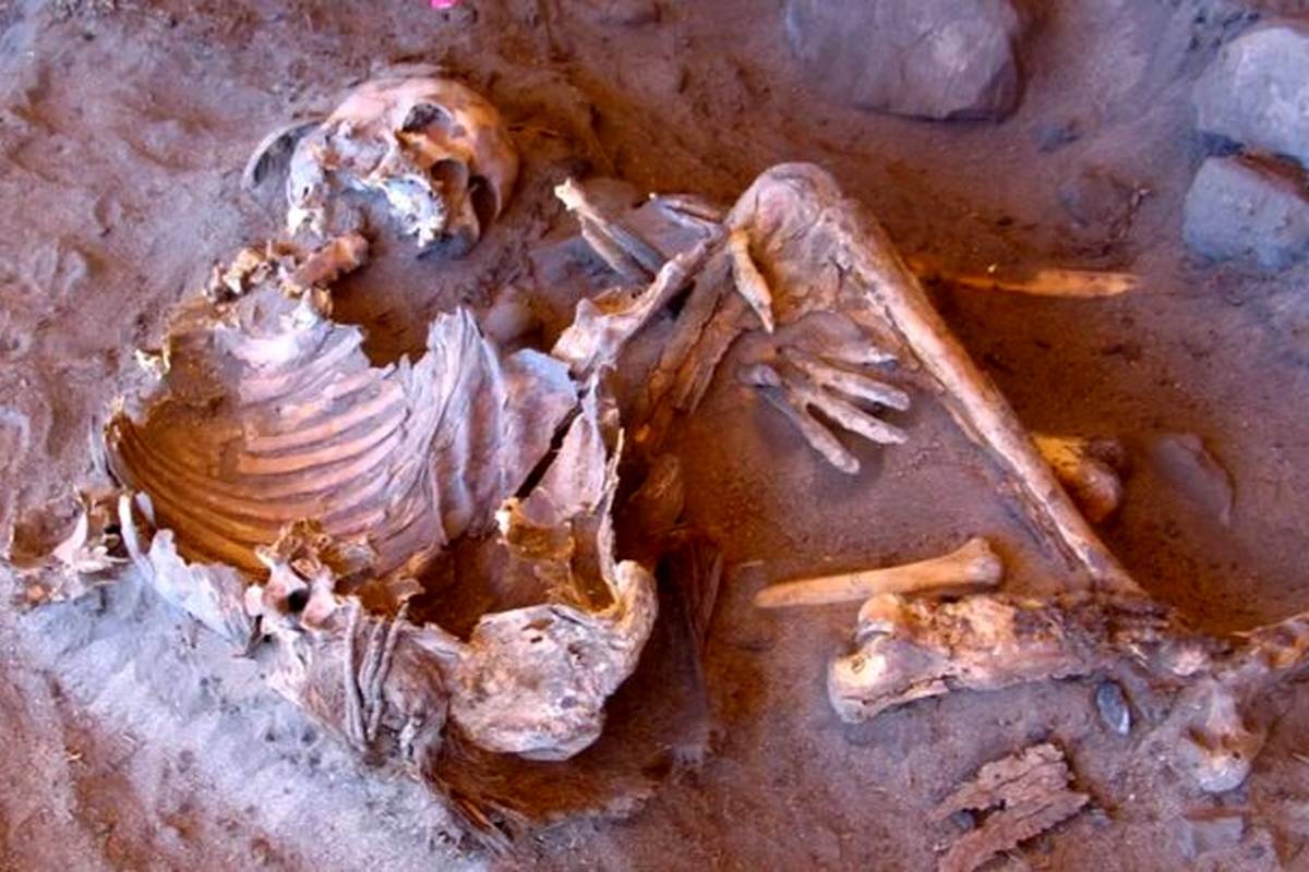 گونهای گمشده از تبار انسان پیدا شد/ مومیاییهای ۷ هزار ساله در «صحرای سبز»