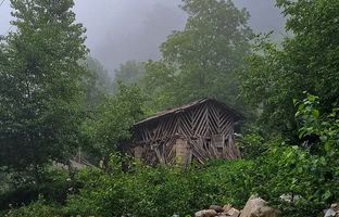 راهنمای سفر: کمپینگ در جنگل دو هزار