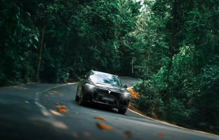 قیمت وویا فری افزایش یافت [اسفند 1403]