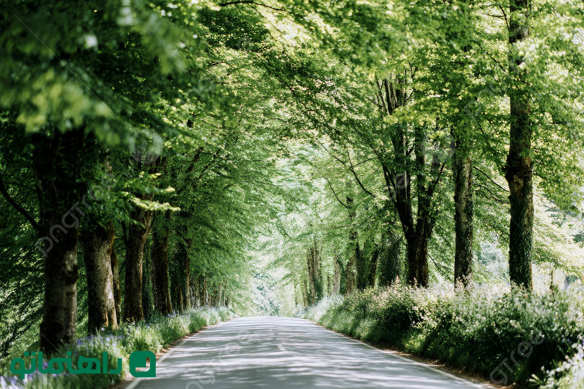 خنک‌ترین جاده‌های اطراف تهران برای ماشین گردی