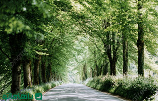 خنک‌ترین جاده‌های اطراف تهران برای ماشین گردی