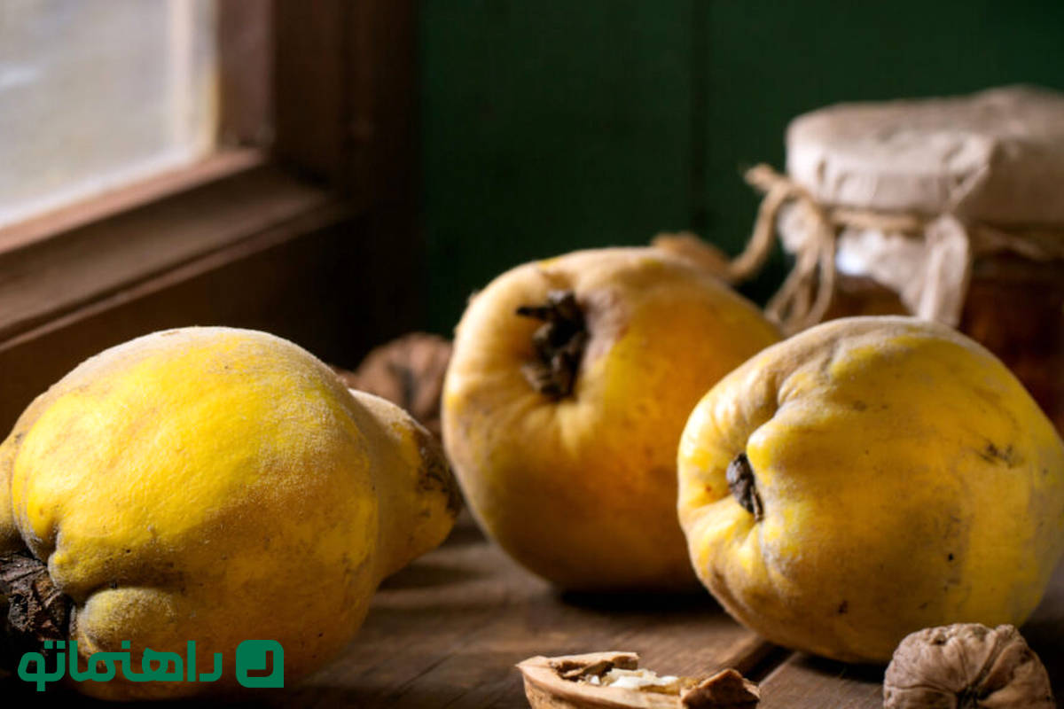 خواص و مضرات میوه به و دانه آن
