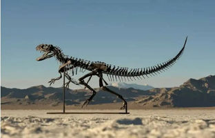  حراج تنها اسکلت ۱۵۰ میلیون ساله نوزاد دایناسور 