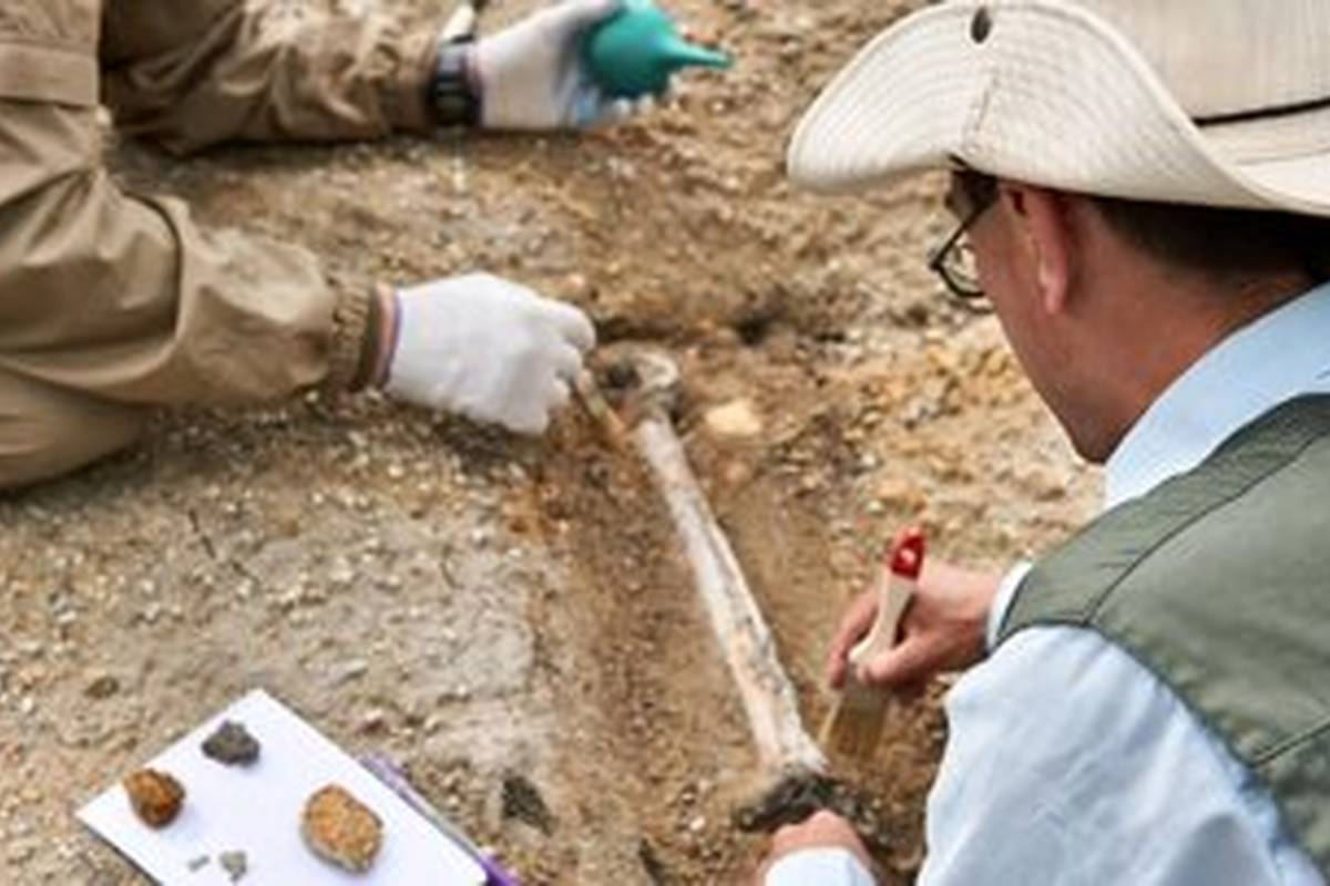 کشف فسیلهای ۸ میلیون ساله زیر ساختمان یک دبیرستان