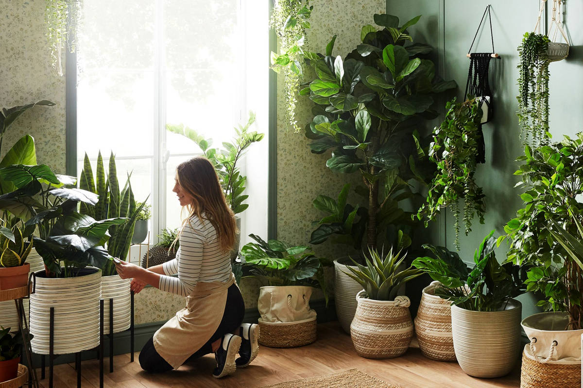 راهنمای کامل تمیز کردن برگ‌های انواع گیاهان آپارتمانی