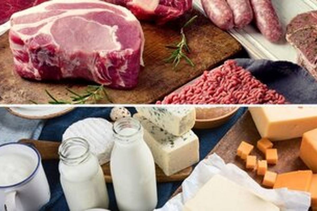 بهترین منبع پروتئین برای بدن کدام است، حیوانی یا گیاهی؟