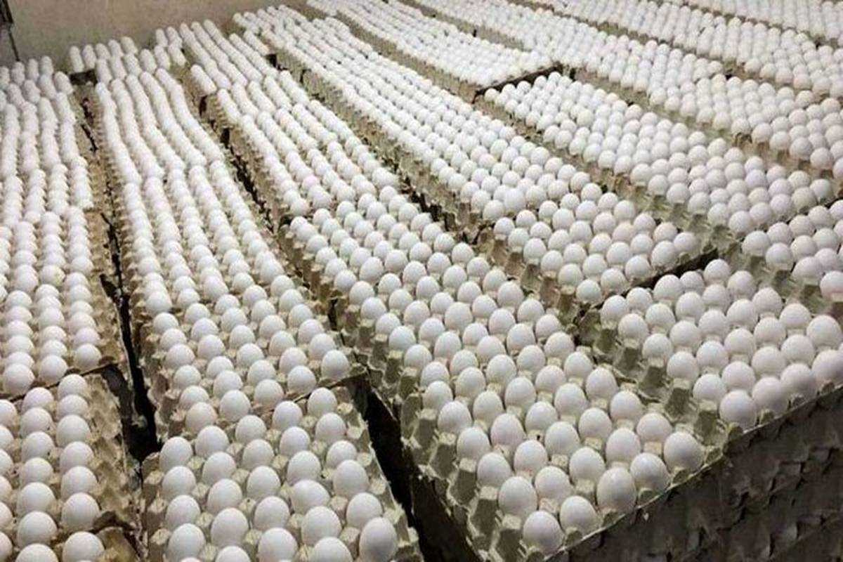 قیمت تخم مرغ در میادین و بازارهای میوه و ترهبار اعلام شد