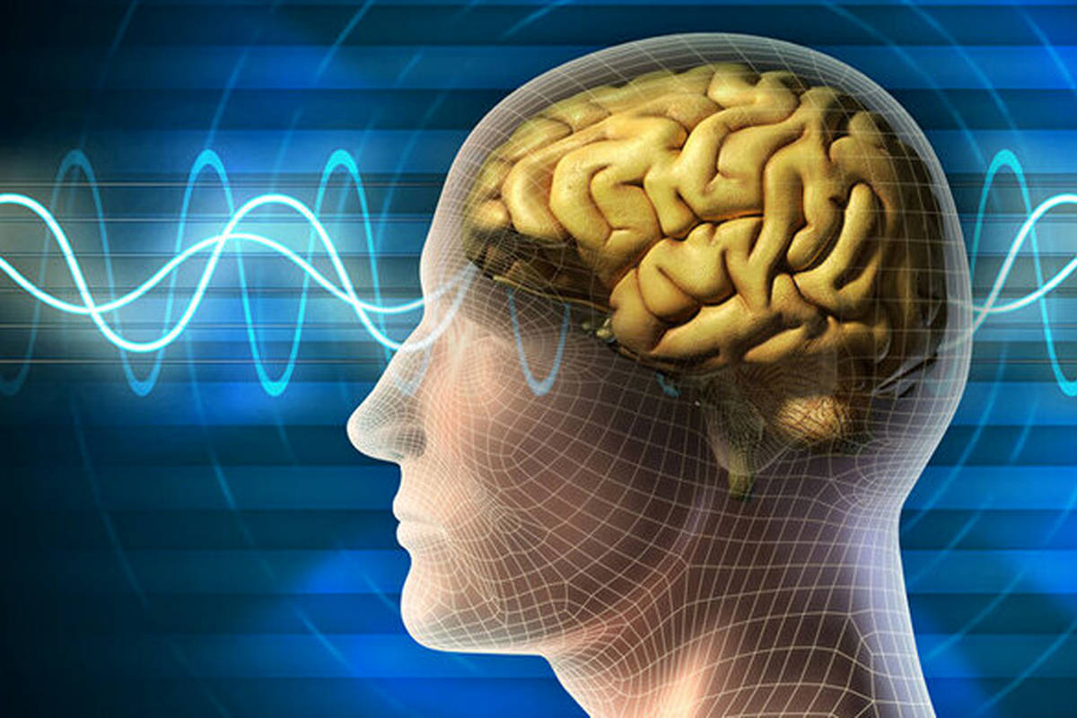 مغز چگونه حرف زدن را ممکن میکند؟