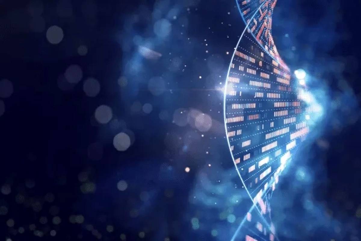 چگونه آزمایش DNA نشان میدهد دو نفر بایکدیگر نسبت فامیلی دارند؟