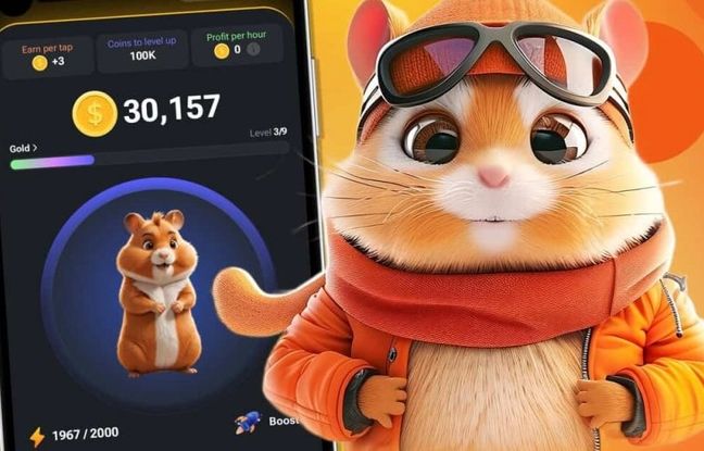  بازگشت قوی همستر کامبت! آیا بلاک چین لایه ۲ این بازی توکن HMSTR را نجات می‌دهد؟ 