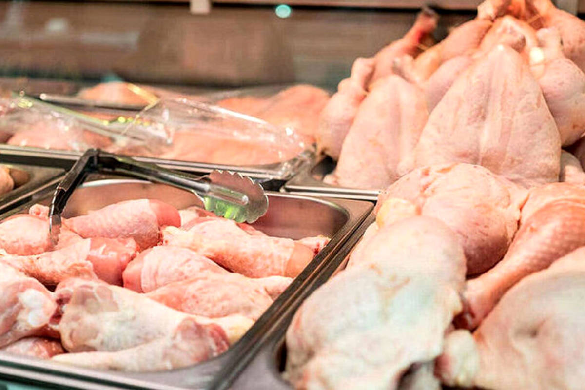 قیمت گوشت مرغ، امروز یکشنبه ۸ مهر ۱۴۰۳