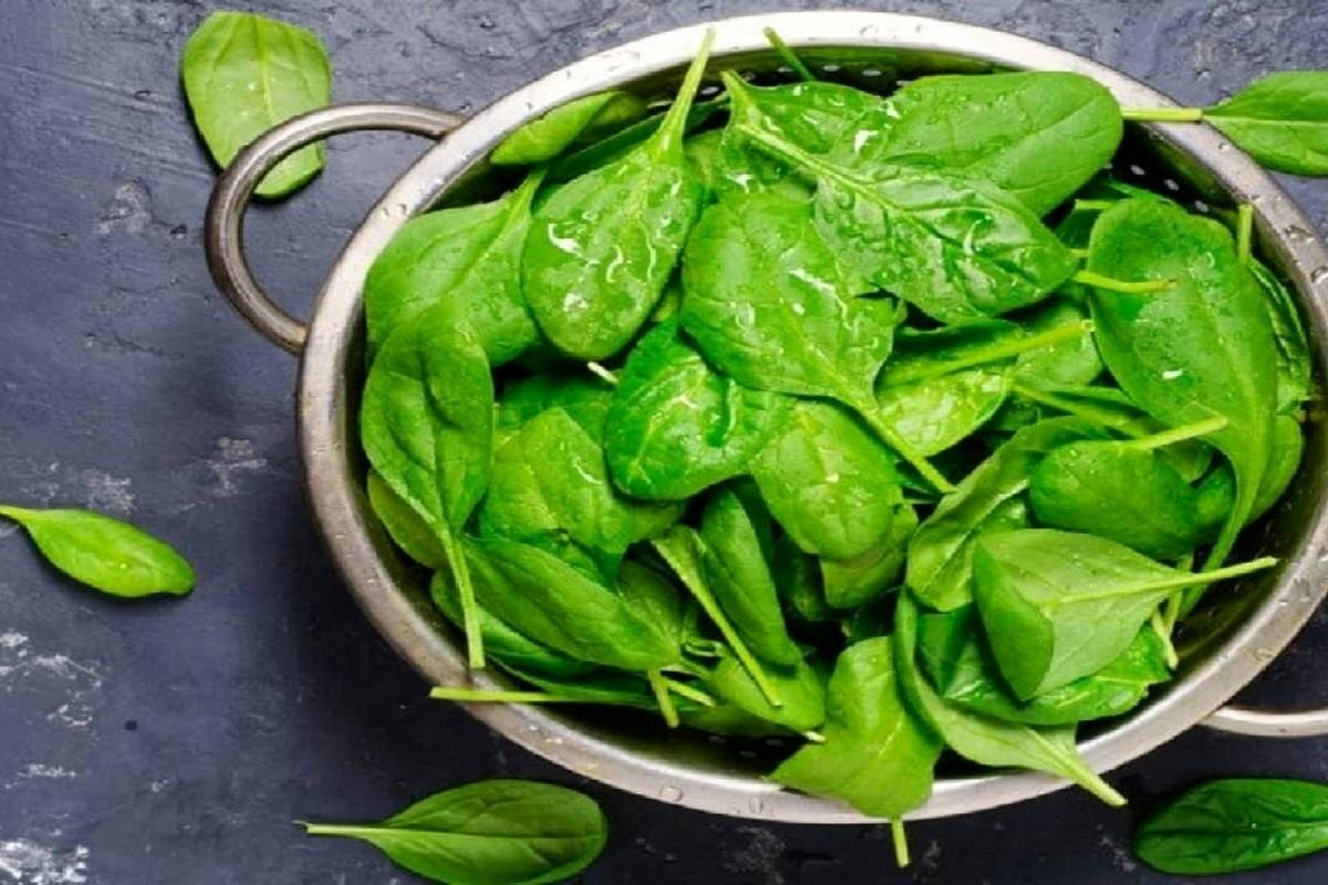 بهترین منبع گیاهی آهن و فولیک اسید چیست؟