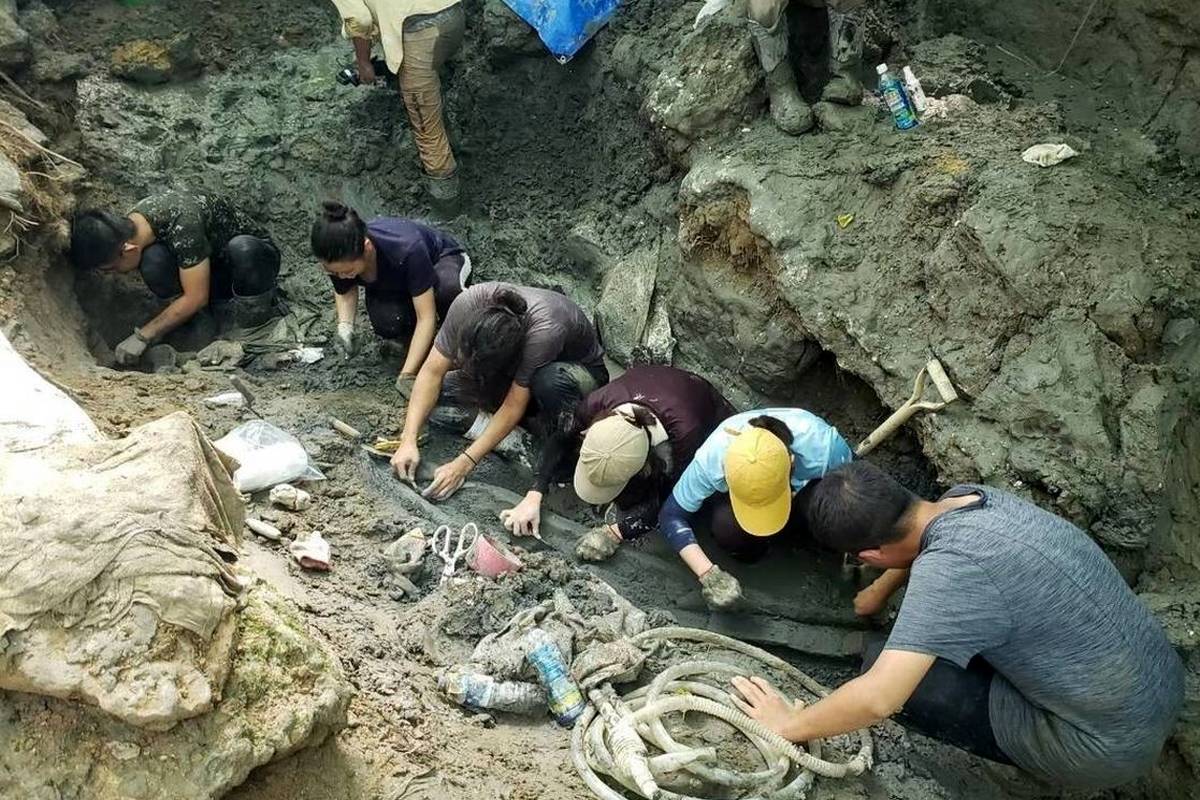 (تصاویر) کشف استخوانهای یک غول در جنگلهای تایوان!