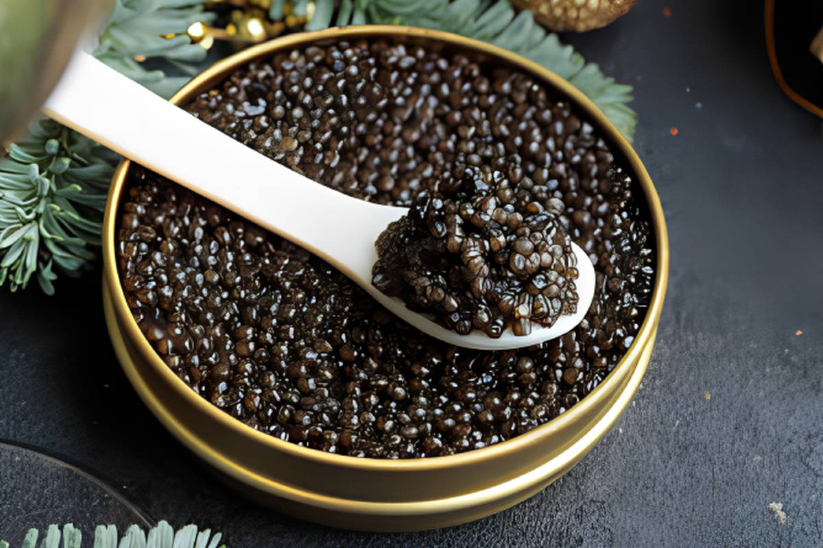 خاویار چیست؛ آشنایی با انواع خاویار