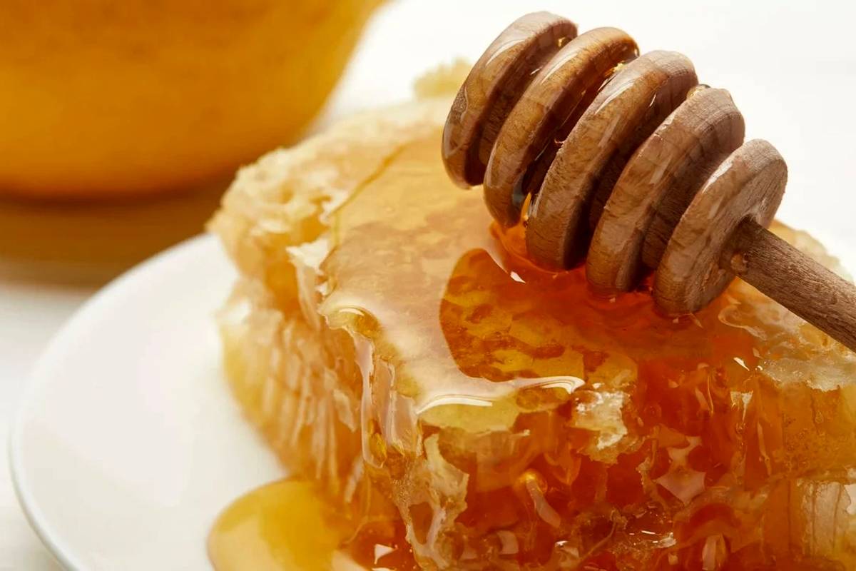 چگونه عسل طبیعی و اصل را از غیراصل تشخیص دهیم؟ عسل طبیعی شکرک می زند؟