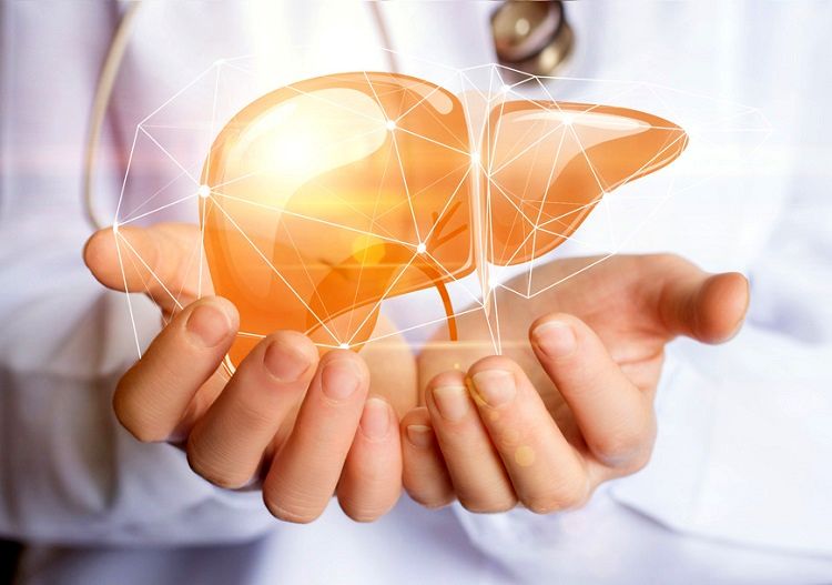 بیماری کبد چرب: علل، علائم، خطرات و درمان‌های خانگی