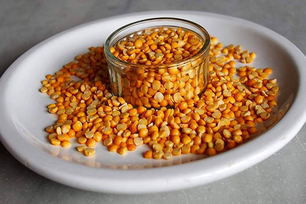 بهترین لپه برای خورش قیمه ؛ لپه درشت خوبه یا ریز ؟ | روش تشخیص لپه زودپز