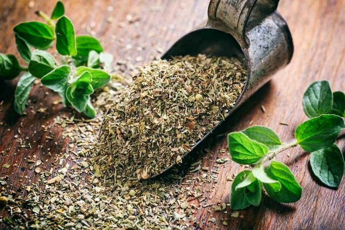 مهمترین خواص آویشن که نمیدانید + 5 دمنوش خوشمزه