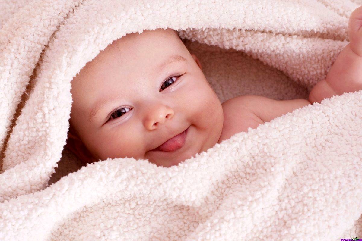 میوههای شگفت انگیز برای داشتن نوزادی زیبا: افسانه یا واقعیت؟