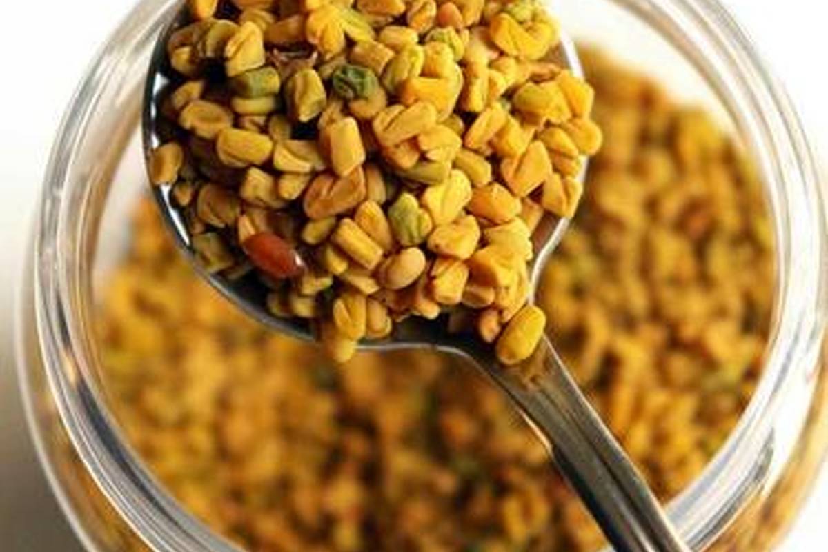 با فواید شگفتانگیز خوردن روزی ۱۰ گرم شنبلیله آشنا شوید