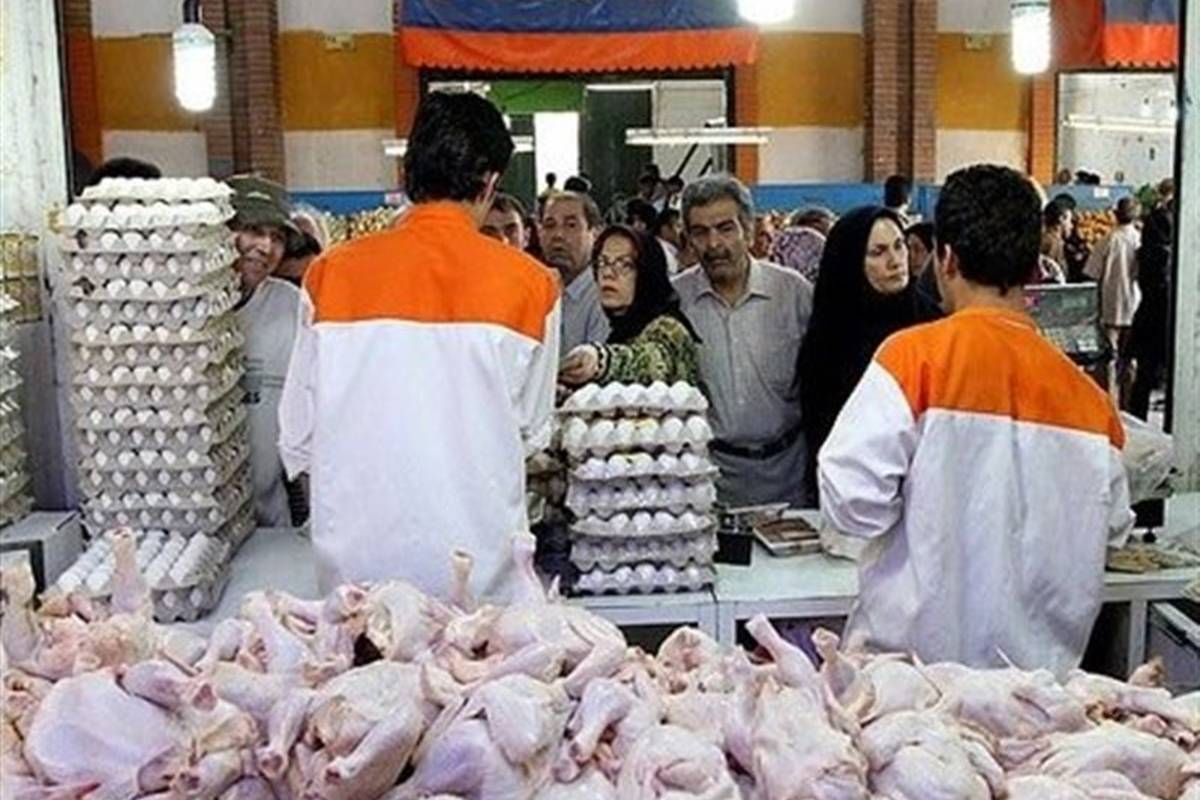 قیمت گوشت مرغ، امروز دوشنبه ۱۵ مرداد ۱۴۰۳